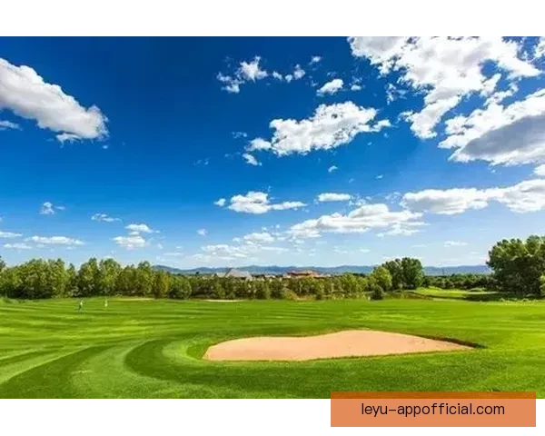 南特在梅斯挑战中重燃希望点燃俱乐部历史辉煌瞬间